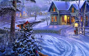 Maalaus numeroiden mukaan "Winter evening" 30x40 hinta ja tiedot | Maalaa numeroiden mukaan | hobbyhall.fi