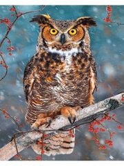 Maalaus numeroiden mukaan "An owl on a mountain ash" 30x40 hinta ja tiedot | Maalaa numeroiden mukaan | hobbyhall.fi