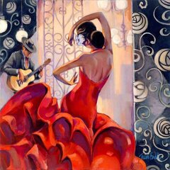 Maalaus numeroiden mukaan "Flamenco dancer" 30x40 hinta ja tiedot | Maalaa numeroiden mukaan | hobbyhall.fi