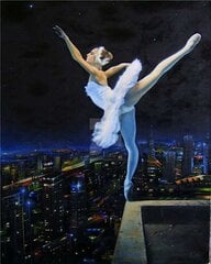 Maalaus numeroiden mukaan "Ballerina on the roof" 30x40 hinta ja tiedot | Maalaa numeroiden mukaan | hobbyhall.fi