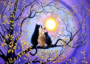 Maalaus numeroiden mukaan "Three cats by moonlight" 30x40 hinta ja tiedot | Maalaa numeroiden mukaan | hobbyhall.fi