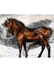 Maalaus puulle "Horses" 40x50 hinta ja tiedot | Maalaa numeroiden mukaan | hobbyhall.fi