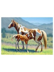 Timanttimosaiikki "A horse and foal " 40x50cm hinta ja tiedot | Timanttimaalaukset | hobbyhall.fi