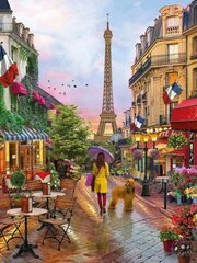 Timanttimosaiikki "A girl with a dog in Paris" 30x40cm hinta ja tiedot | Timanttimaalaukset | hobbyhall.fi