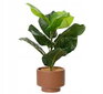 Keinotekoinen filodendron koristekasvi ruukussa 33x12 cm hinta ja tiedot | Sisustustuotteet | hobbyhall.fi