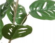 Monstera keinotekoinen koristekasvi ruukussa 45 cm hinta ja tiedot | Sisustustuotteet | hobbyhall.fi