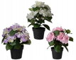 Hortensia ruukussa keinotekoinen koristekasvi 1 kpl 24x25 cm hinta ja tiedot | Sisustustuotteet | hobbyhall.fi