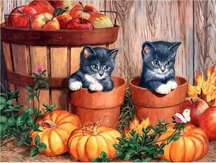 Timanttimosaiikki "Kittens with pumpkins" 30x40cm hinta ja tiedot | Timanttimaalaukset | hobbyhall.fi