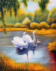 Timanttimosaiikki "Swan seed" 30x40cm hinta ja tiedot | Timanttimaalaukset | hobbyhall.fi