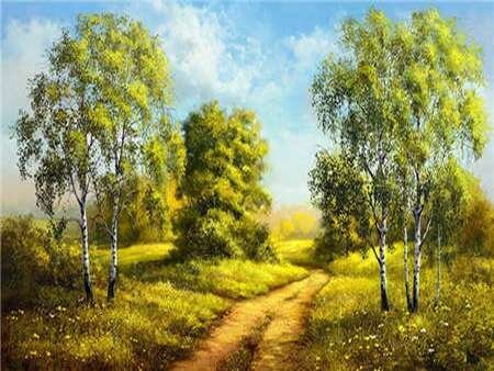 Timanttimosaiikki "Birches" 30x40cm hinta ja tiedot | Timanttimaalaukset | hobbyhall.fi