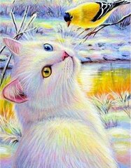 Timanttimosaiikki "A cat with a bird" 30x40cm hinta ja tiedot | Timanttimaalaukset | hobbyhall.fi