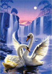 Timanttimosaiikki "Swans" 30x40cm hinta ja tiedot | Timanttimaalaukset | hobbyhall.fi