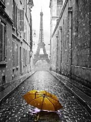 Timanttimosaiikki "A yellow umbrella in Paris" 30x40cm hinta ja tiedot | Timanttimaalaukset | hobbyhall.fi