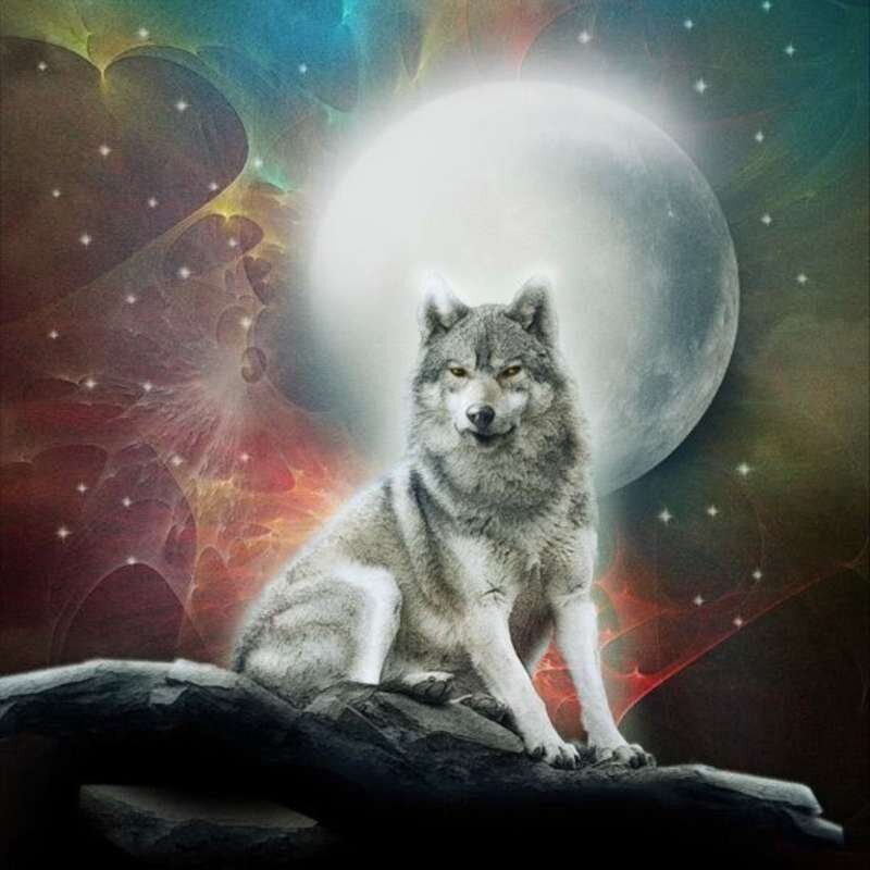 Timanttimosaiikki "A wolf under the moon" 30x30cm hinta ja tiedot | Timanttimaalaukset | hobbyhall.fi