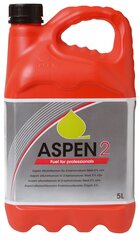 Alkylaattibensiini Aspen 2,5 l hinta ja tiedot | Autokemikaalit | hobbyhall.fi