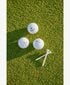 Wilson Golf-pallot Duo Soft - 12 kpl hinta ja tiedot | Golf | hobbyhall.fi