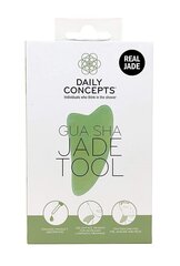 Facial Massager Daily Jade Gua Sha kasvohierontalaite, 1 kpl hinta ja tiedot | GuaSha Hajuvedet ja kosmetiikka | hobbyhall.fi