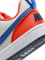 Nike Jalkineet Court Borough Low Blue Orange DV5456 401 DV5456 401/6.5 hinta ja tiedot | Miesten urheilu- ja vapaa-ajan kengät | hobbyhall.fi