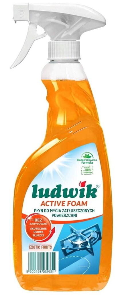 Ludwik pintojen rasvanpoistoneste 750 ml hinta ja tiedot | Puhdistusaineet | hobbyhall.fi