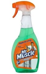 Mr Muscle, Puhdistusaine ikkunoille ja muille pinnoille, vihreä, 500 ml hinta ja tiedot | Puhdistusaineet | hobbyhall.fi