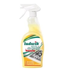 Keittiön Tehokas Puhdistusmaito, Ludwik, 750 ml hinta ja tiedot | Puhdistusaineet | hobbyhall.fi