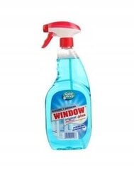 Window Plus lasinpesuneste 750 ml hinta ja tiedot | Puhdistusaineet | hobbyhall.fi