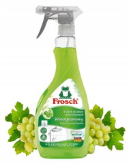 Frosch suihkunpuhdistusaine 500 ml viinirypäle hinta ja tiedot | Puhdistusaineet | hobbyhall.fi