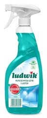 Ludwik Lasin ja peilien pesuneste 750 ml hinta ja tiedot | Puhdistusaineet | hobbyhall.fi