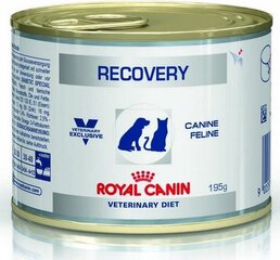 Royal Canin Veterinary Diet Recovery tölkki 195g hinta ja tiedot | Kissanruoka | hobbyhall.fi