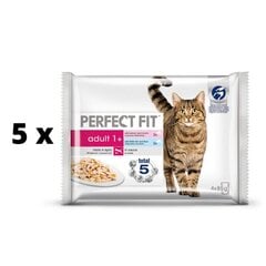 Säilykkeet Perfect Fit aikuisille kissoille, lohen/valkokalan kanssa, 4x85 g x 5 kpl hinta ja tiedot | Kissanruoka | hobbyhall.fi