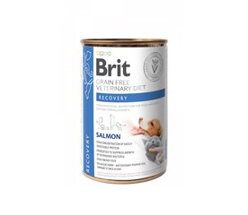 Brit GF Veterinary Diets Recovery märkäruoka koirille ja kissoille, 0,4 kg hinta ja tiedot | Koiran kuivaruoka | hobbyhall.fi