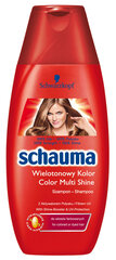 Shampoo värjätyille hiuksille Schauma Color Glanz, 6 x 250 ml hinta ja tiedot | Shampoot | hobbyhall.fi