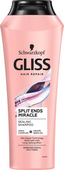 Gliss Split Ends shampoo, 250 ml, 6 kpl hinta ja tiedot | Shampoot | hobbyhall.fi