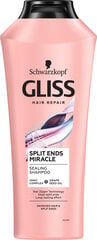 Gliss Split Ends shampoo, 400 ml, 3 kpl hinta ja tiedot | Shampoot | hobbyhall.fi