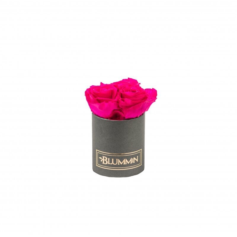 Kestoruusut Blummin – XS dark grey / Hot Pink hinta ja tiedot | Kestoruusut | hobbyhall.fi