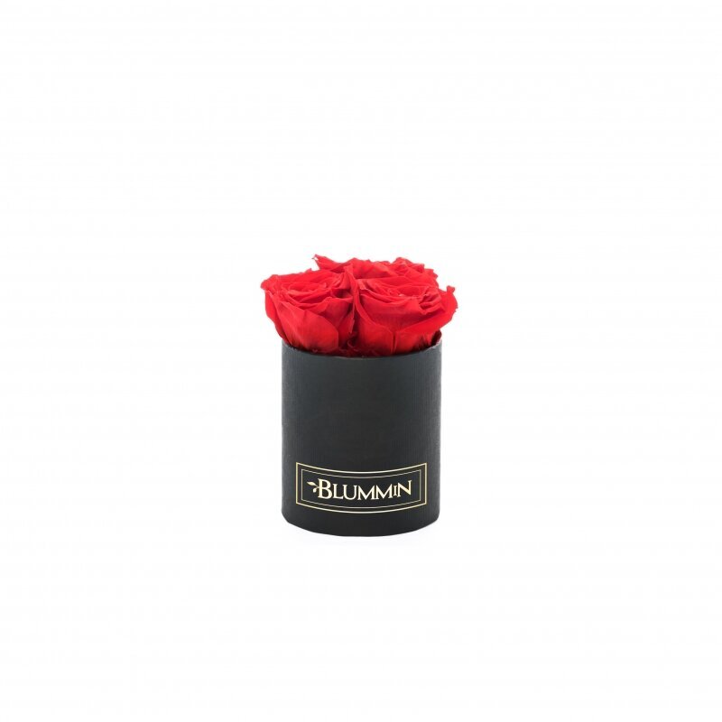 Kestoruusut Blummin – XS black / Vibrant Red hinta ja tiedot | Kestoruusut | hobbyhall.fi