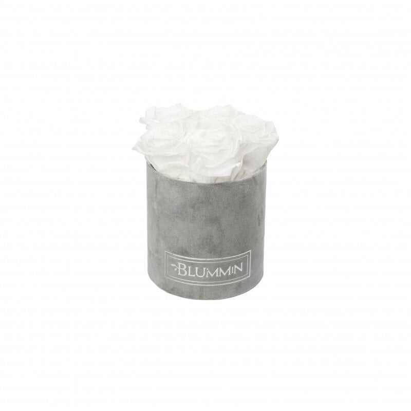 Kestoruusut Blummin – XS light grey velvet / White hinta ja tiedot | Kestoruusut | hobbyhall.fi