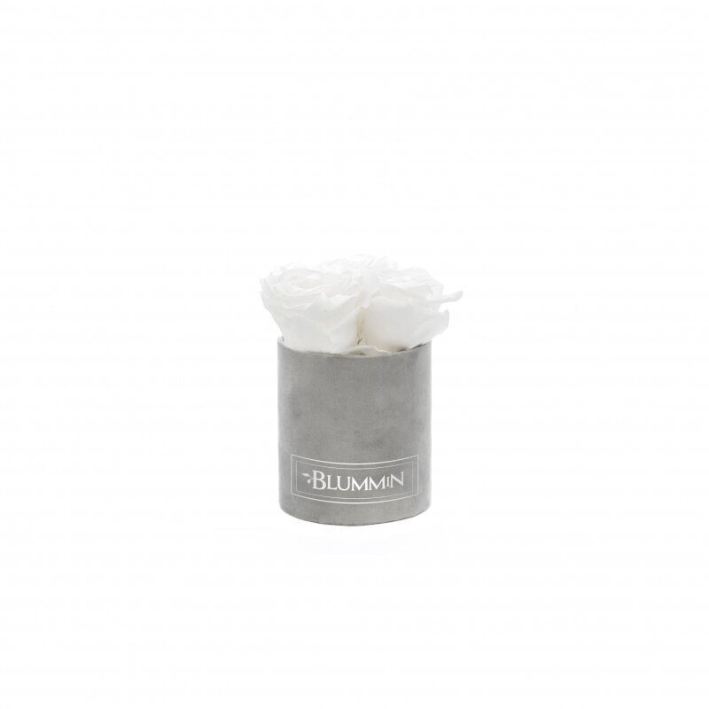 Kestoruusut Blummin – XS light grey velvet / White hinta ja tiedot | Kestoruusut | hobbyhall.fi