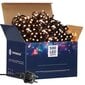 CL0528 jouluvalot Flash 500 LED hinta ja tiedot | Jouluvalot | hobbyhall.fi