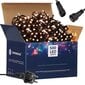 CL0528 jouluvalot Flash 500 LED hinta ja tiedot | Jouluvalot | hobbyhall.fi