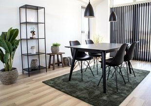 2-tuolin sarja Ruokapöydän tuoli Oslo hinta ja tiedot | Ruokapöydän tuolit | hobbyhall.fi