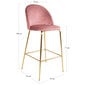 2-tuolin sarja Baarijakkara Lausanne, vaaleanpunainen hinta ja tiedot | Ruokapöydän tuolit | hobbyhall.fi
