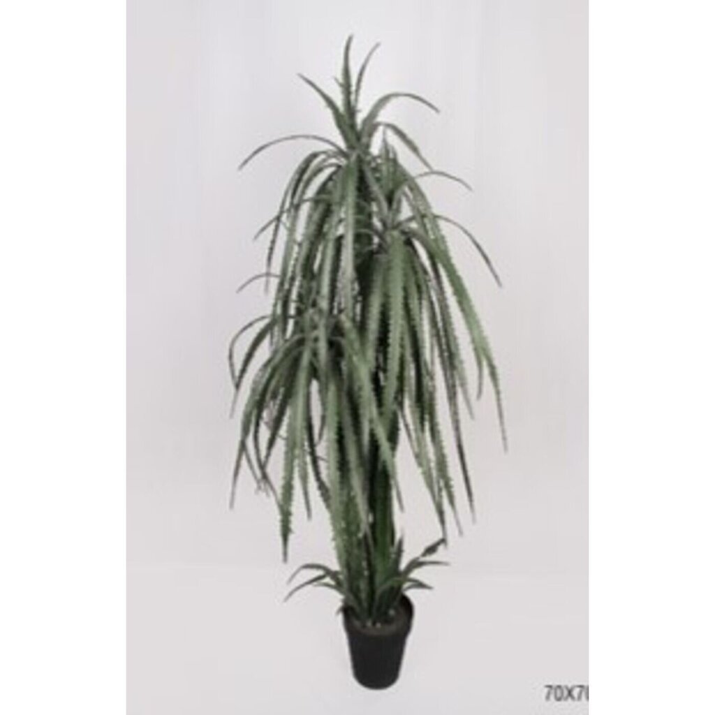 Koristekasvi Dragon Tree 155cm hinta ja tiedot | Keinotekoiset kukat | hobbyhall.fi