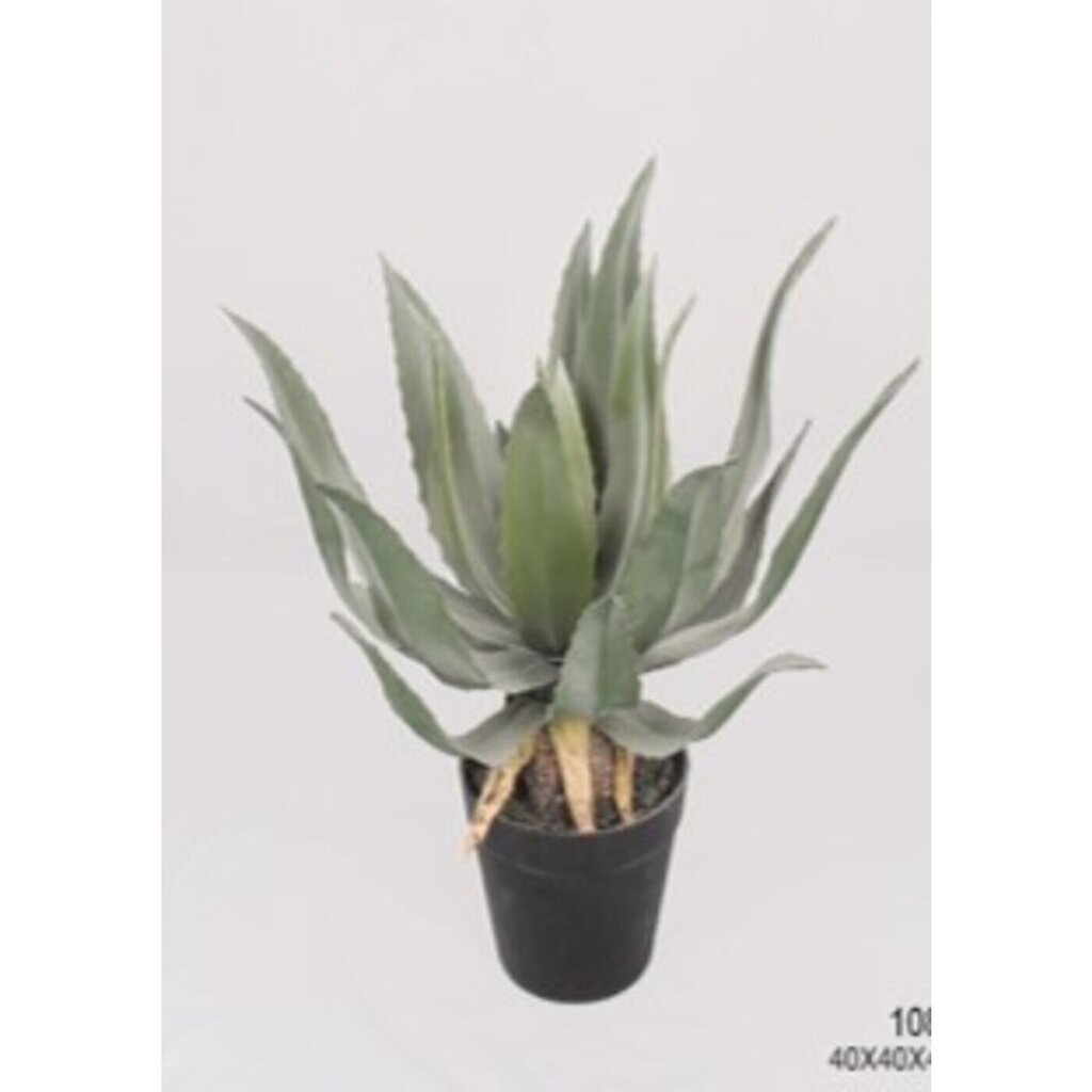 Koristekasvi Agave 40cm hinta ja tiedot | Keinotekoiset kukat | hobbyhall.fi