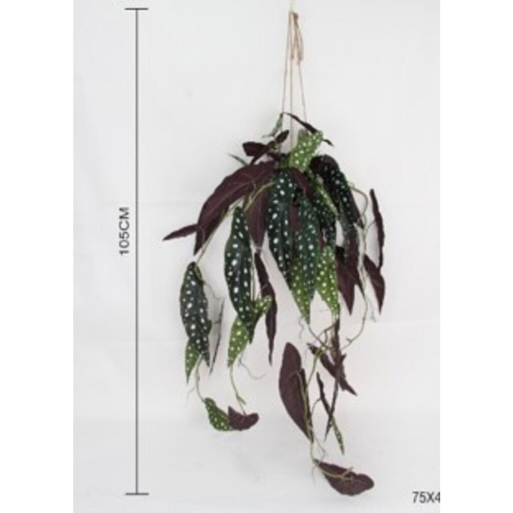 Koristekasvi Begonia 105cm hinta ja tiedot | Keinotekoiset kukat | hobbyhall.fi