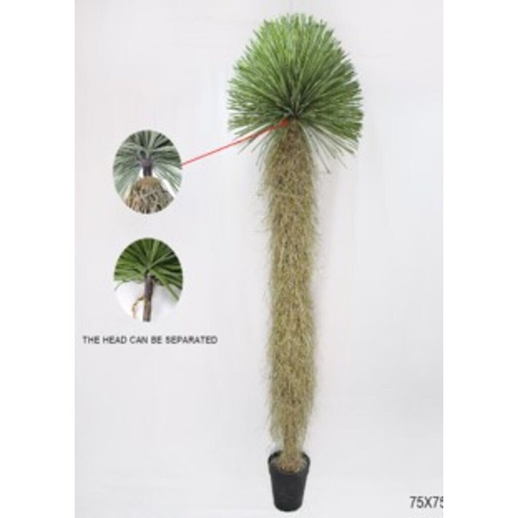 Koristekasvi Yucca Rostrata 240cm hinta ja tiedot | Keinotekoiset kukat | hobbyhall.fi