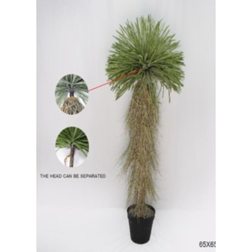 Koristekasvi Yucca 180cm hinta ja tiedot | Keinotekoiset kukat | hobbyhall.fi