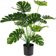 Tekokasvi Monstera Deliciosa 50-75 cm hinta ja tiedot | Keinotekoiset kukat | hobbyhall.fi