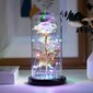 MULTI-VÄRILLINEN WALKING ROSE LASISSA Luminous LED ESITTELEE Rainbow hinta ja tiedot | Keinotekoiset kukat | hobbyhall.fi