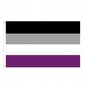 LGBT SUURI sateenkaarilippu 90x150cm ASEXUALITY F10 hinta ja tiedot | Liput | hobbyhall.fi